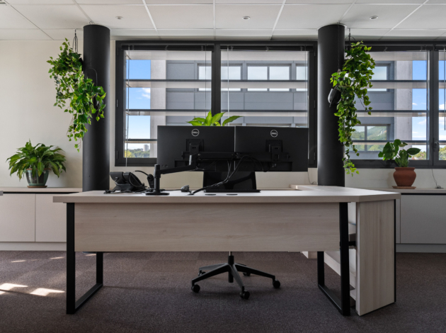 noton renovation bureaux 5